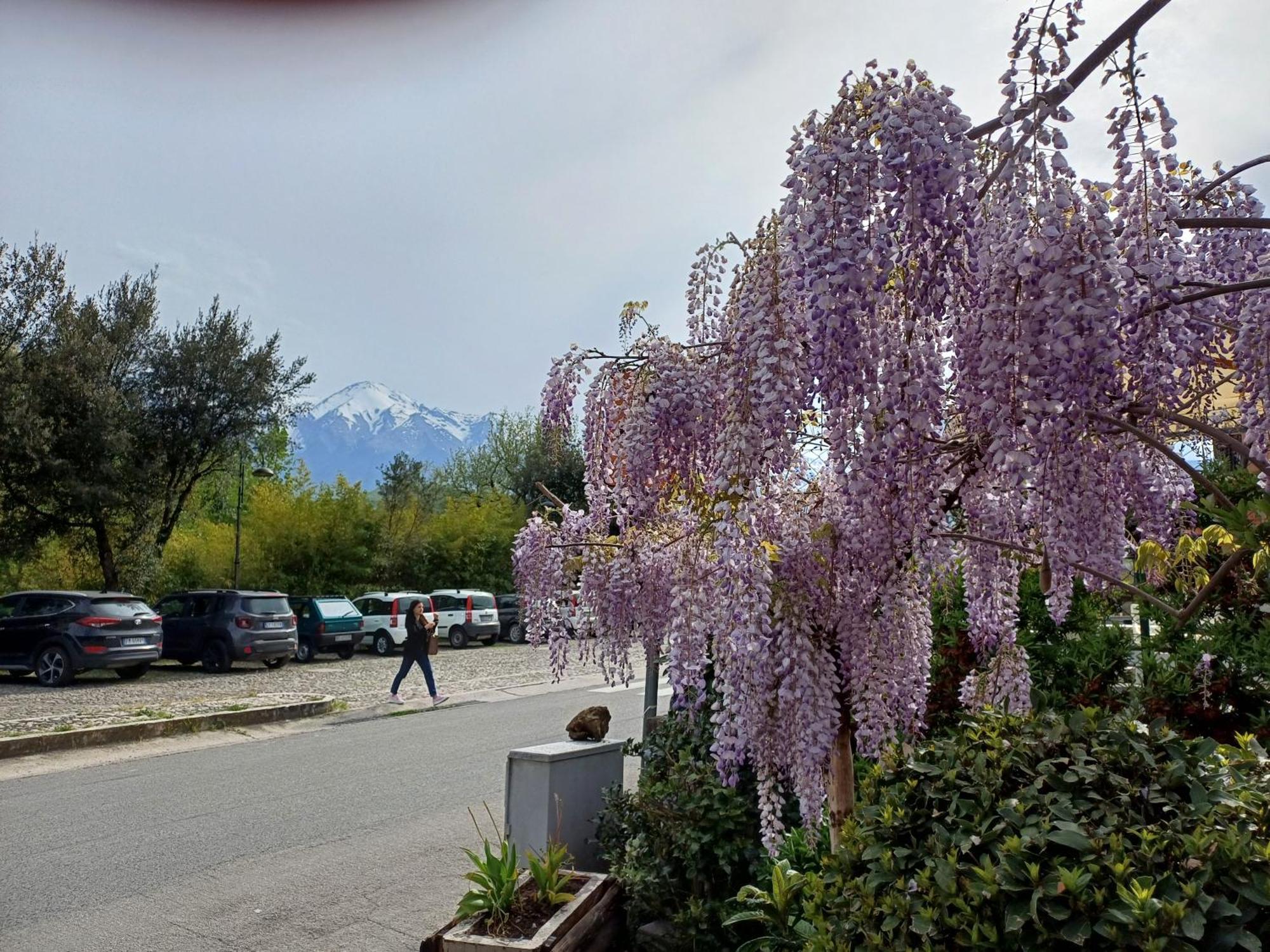 Agriturismo San Giovanni Ad Insulam Isola del Gran Sasso dʼItalia Exteriör bild