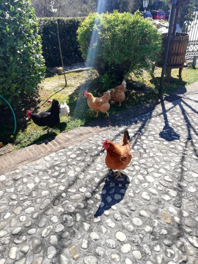 Agriturismo San Giovanni Ad Insulam Isola del Gran Sasso dʼItalia Exteriör bild